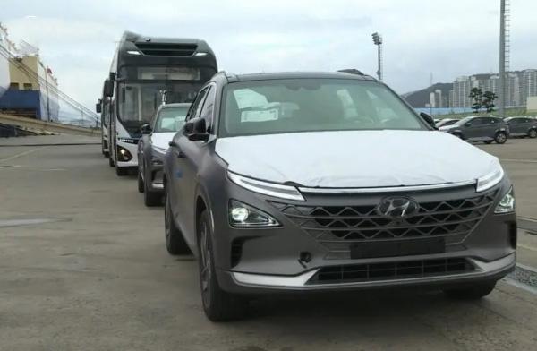 全球氫燃料電池汽車銷量下滑30%,現(xiàn)代世界第一,中國(guó)增速最快!