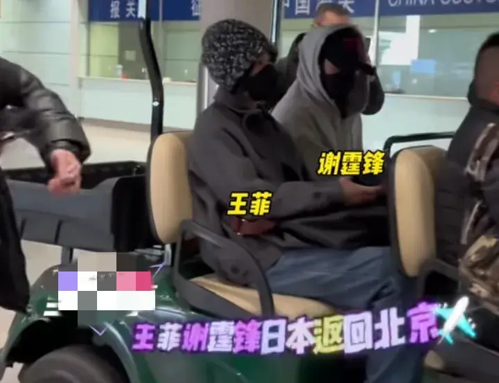 王菲謝霆鋒同框現(xiàn)身機(jī)場(chǎng)