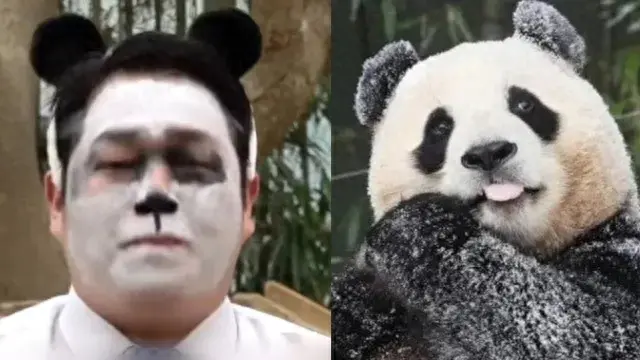 韓記者畫熊貓仿妝哽咽告別福寶
