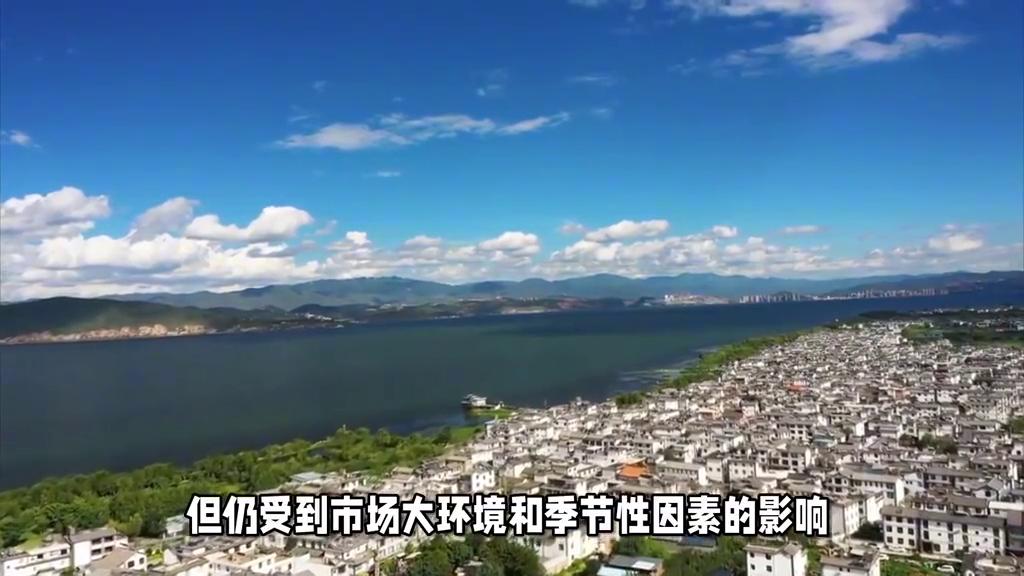 2024年12月云南各市房價變化一覽#房價##商品住宅#